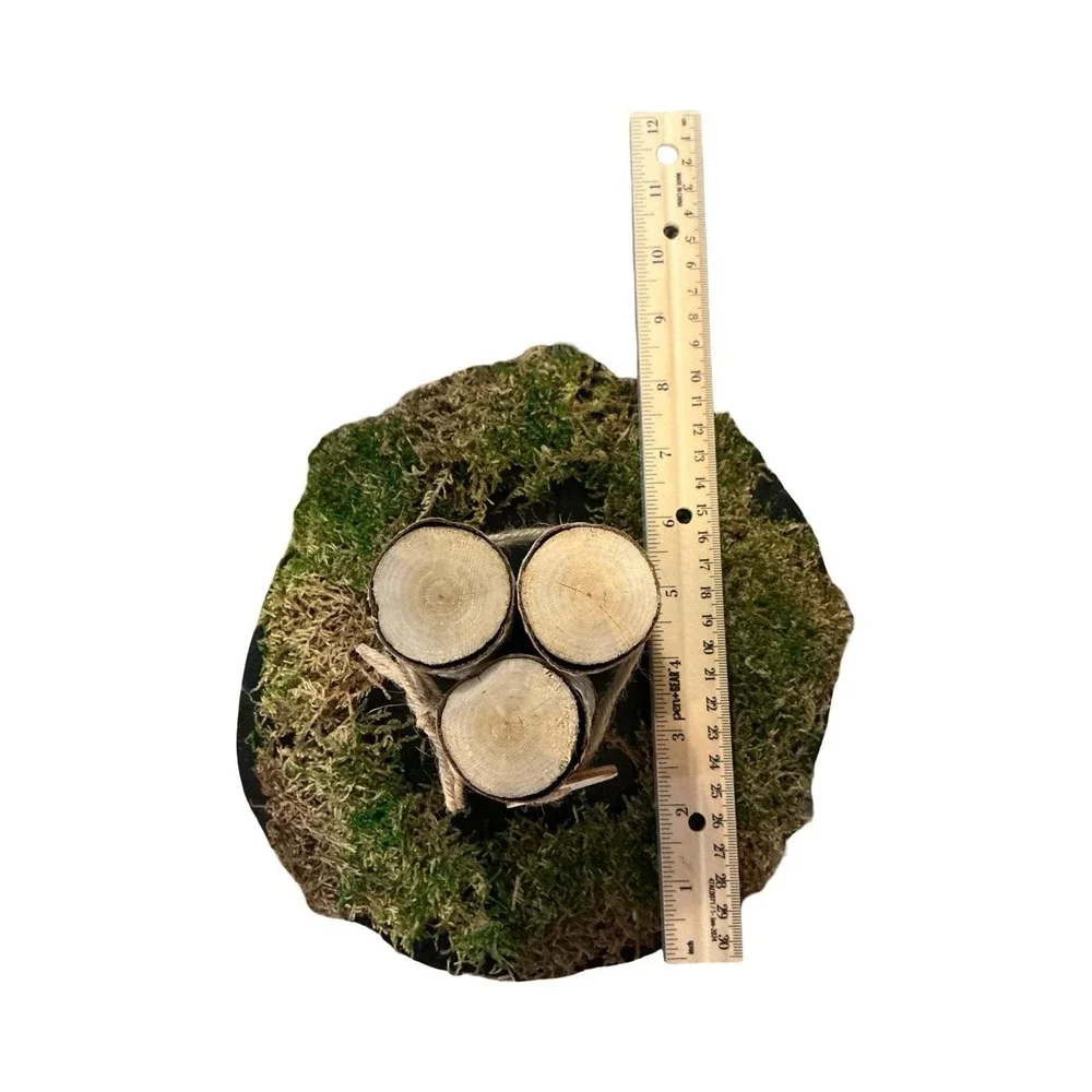 Handmade Rustic‎ Birch Wood Slab Centerpiece with Moss and Custom Heart
